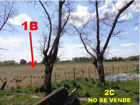 Terreno en Venta en Huanguelen, USD 80.000