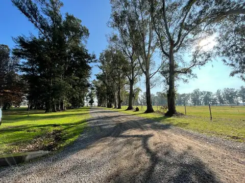 Ruta N6 km142