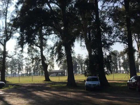 Terreno en Venta en Los Tres Pinos, USD 24.000