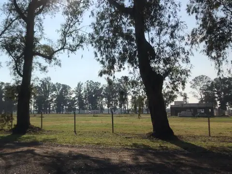 Terreno en Venta de 1200,0 m2