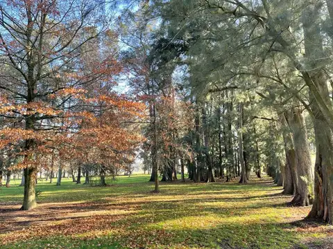 Venta Terreno 1200m2  Club de Campo Tres Pinos  General Rodriguez