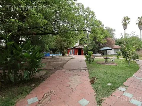 Belgrano al 1500