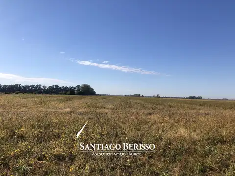 Campo en Lima