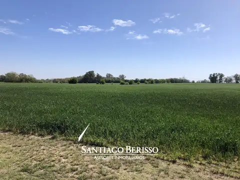Campo en Lima