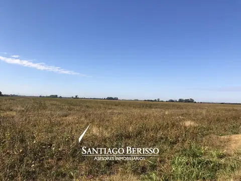 Campo en Lima