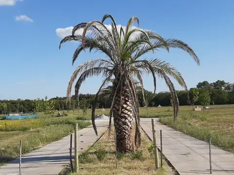 Terreno en Venta de 900,0 m2