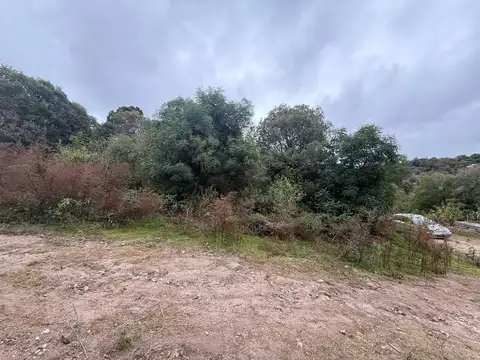 Terreno en Venta de 345,0 m2