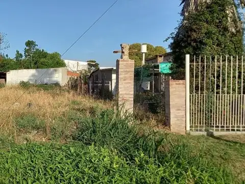 Lote