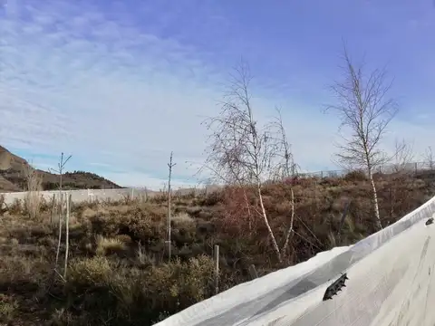 Terreno en Venta en Dina Huapi, USD 54.000