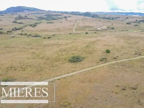 ruta 12