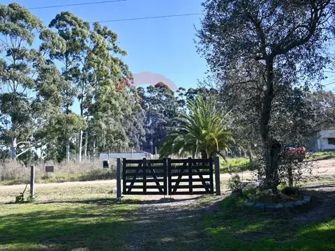 VENTA 2 CASAS EN AMPLIO TERRENO PROGRESO SUBURBANO