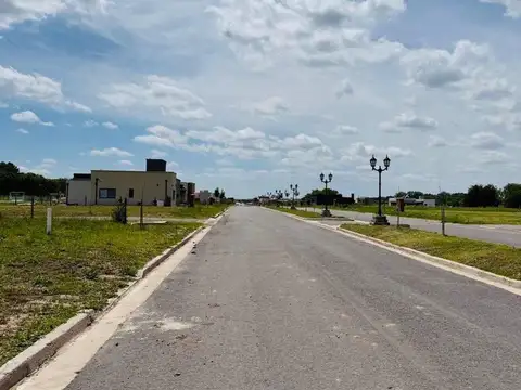 Pollcarpia S. Pola Km 19 800