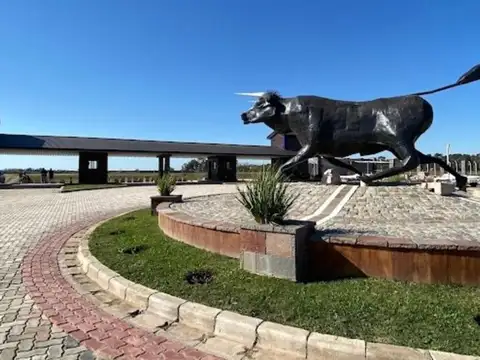 Terreno en Venta de 800,0 m2