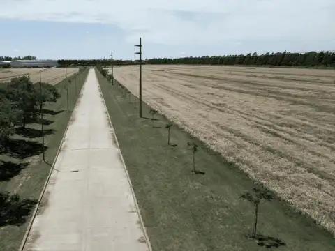 Terreno en Venta de 10000,0 m2