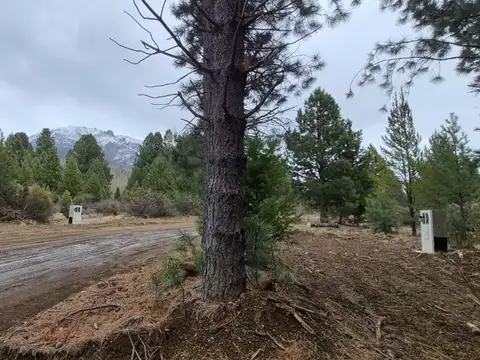 Terreno en Venta en San Carlos de Bariloche, USD 65.859
