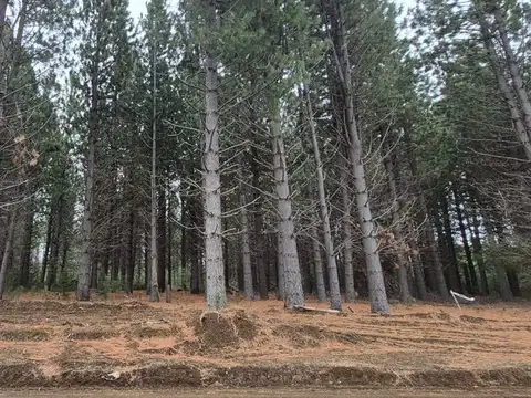 Terreno en Venta de 1267,0 m2