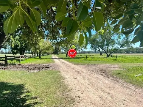 Campo en Venta de 10  ha