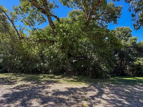 Terreno en Venta de 4374,0 m2