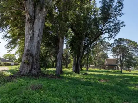 VENTA DE LOTES EN PUEBLO ESTHER