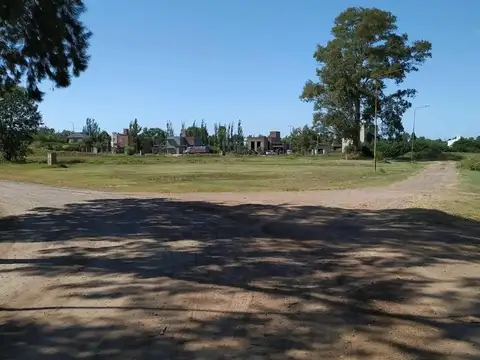 BOSQUES DE PUEBLO ESTHER