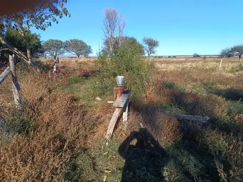 Campo en Venta de 91  ha