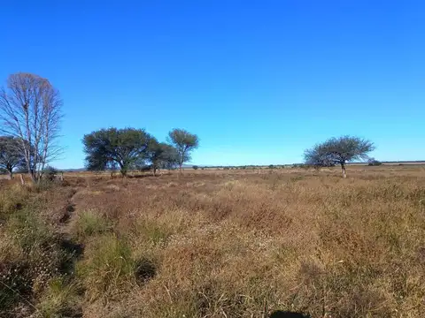 Campo en Venta Agrícola