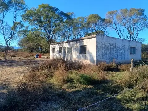 Campo en Venta Agrícola