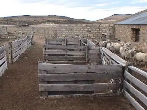 Próximo a RP 12, Provincia de Santa Cruz