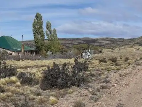 Campo - Gobernador Gregores