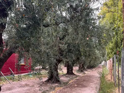 Tropero Sosa 2800