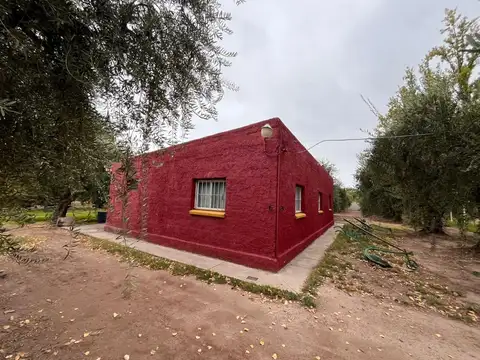 QUINTA EN VENTA