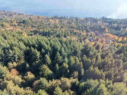 TERRENO SUBIDA CERRO OTTO - VISTA AL LAGO