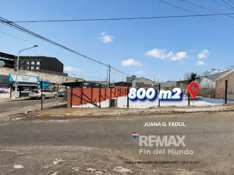Juana Genoveva Fadul 400