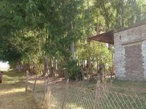 Las Flores. A 6 km de RN°3 y 12 km de ciudad
