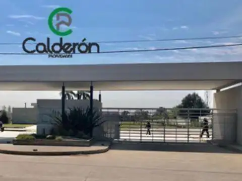 Carola Lorenzini 4650