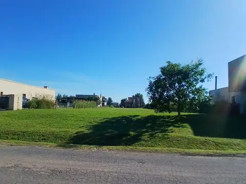 CRUZ DEL SUR SAN VICENTE