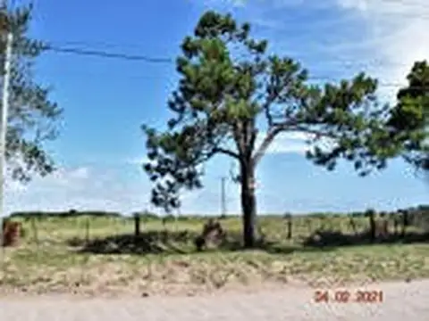 Avenida Roldán 1500