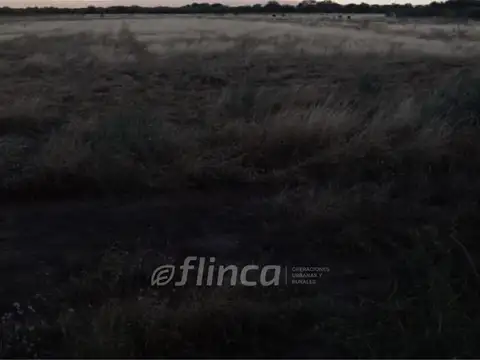 Consultar dirección