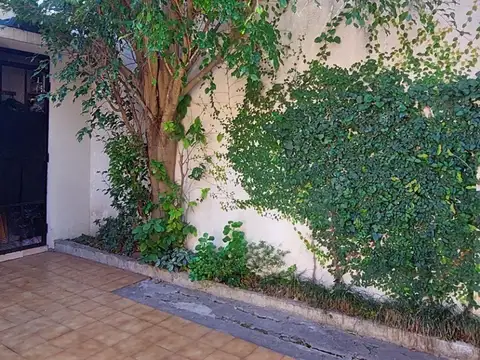 Francisco Borges 4300