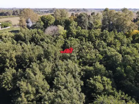 Campo de 2 ha en venta, Marcos Paz.