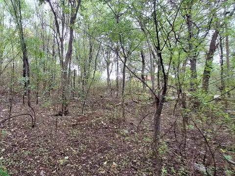 Terreno en Venta de 450,0 m2