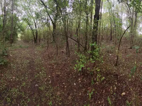 Terrenos en venta a cuadras del Centro de Valle Hermoso