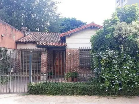 Paunero 800