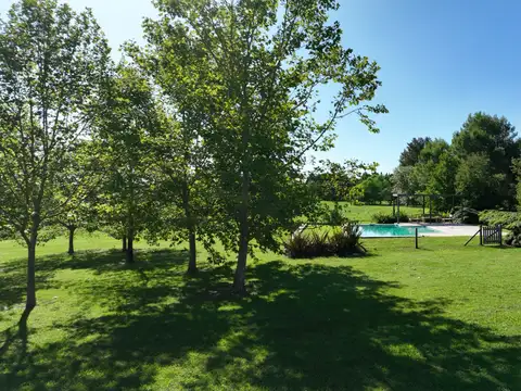 Campo en Venta Agrícola