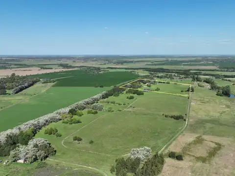 Campo en Venta Agrícola