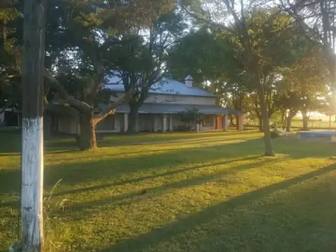 Venta Campo 15 Hect&aacute;reas En Pergamino!