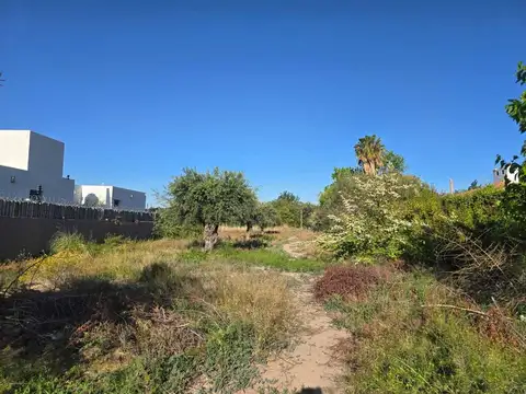 Terreno en Venta de 980,0 m2