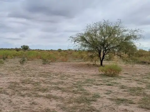 Terreno en Venta de 512,0 m2