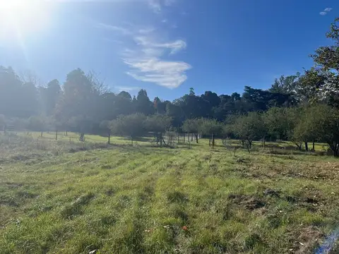 Terreno en Venta de 11460,0 m2