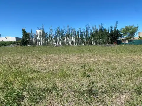 Avenida La Voz de San Justo 100